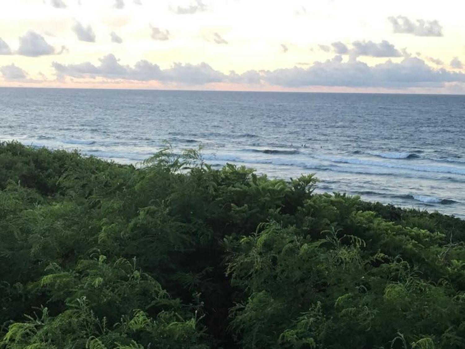 July 7 suicide point wave information 3