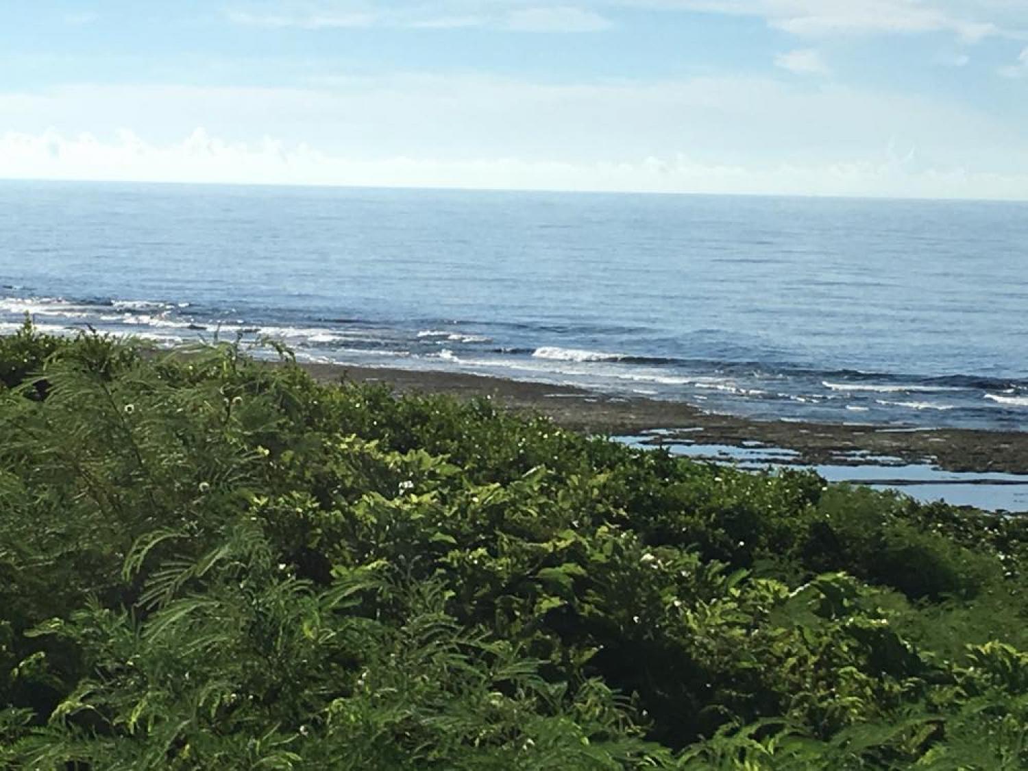 July 18 suicide point wave information