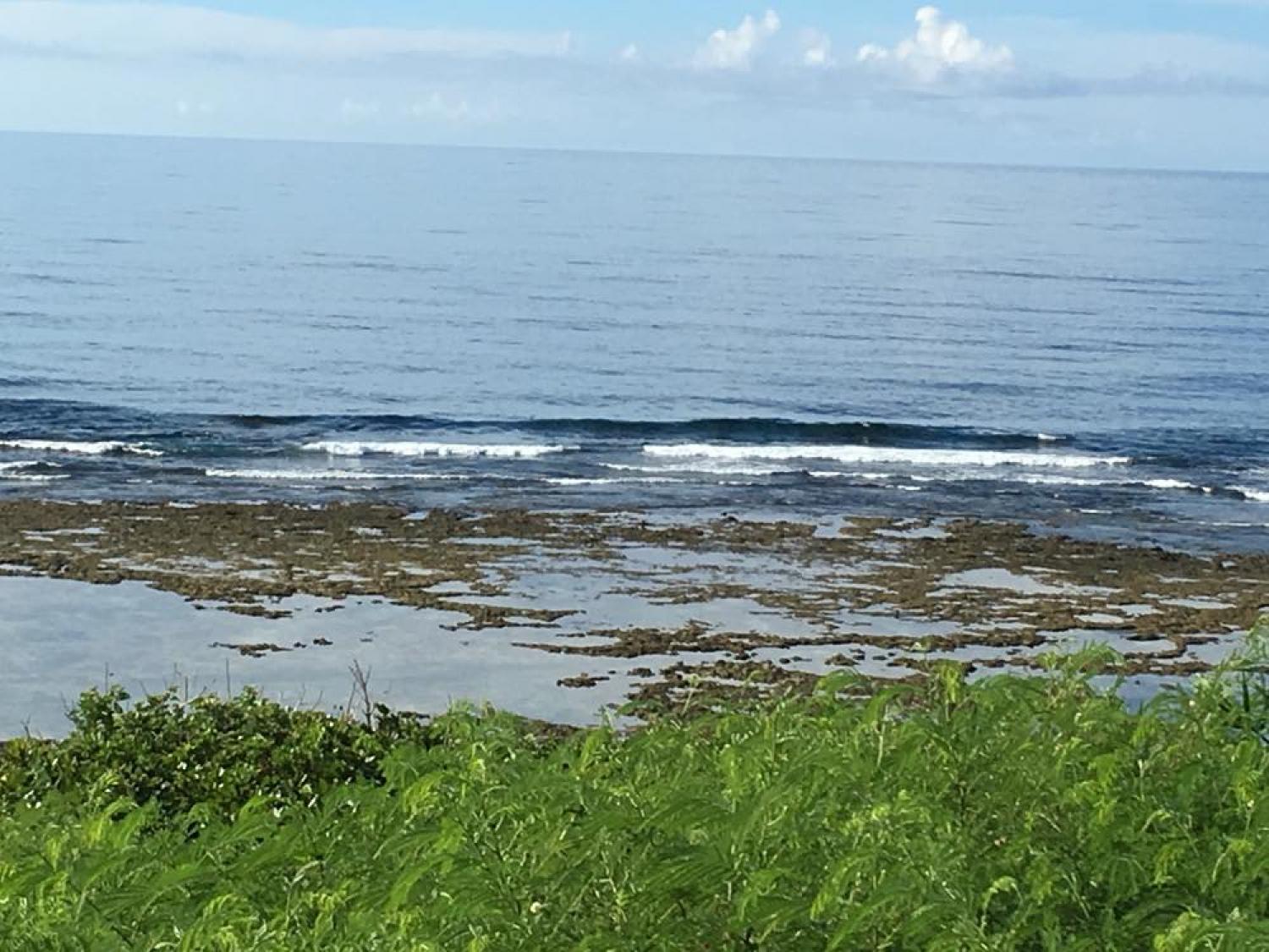 7月18日（火) スーサイド波情報 2