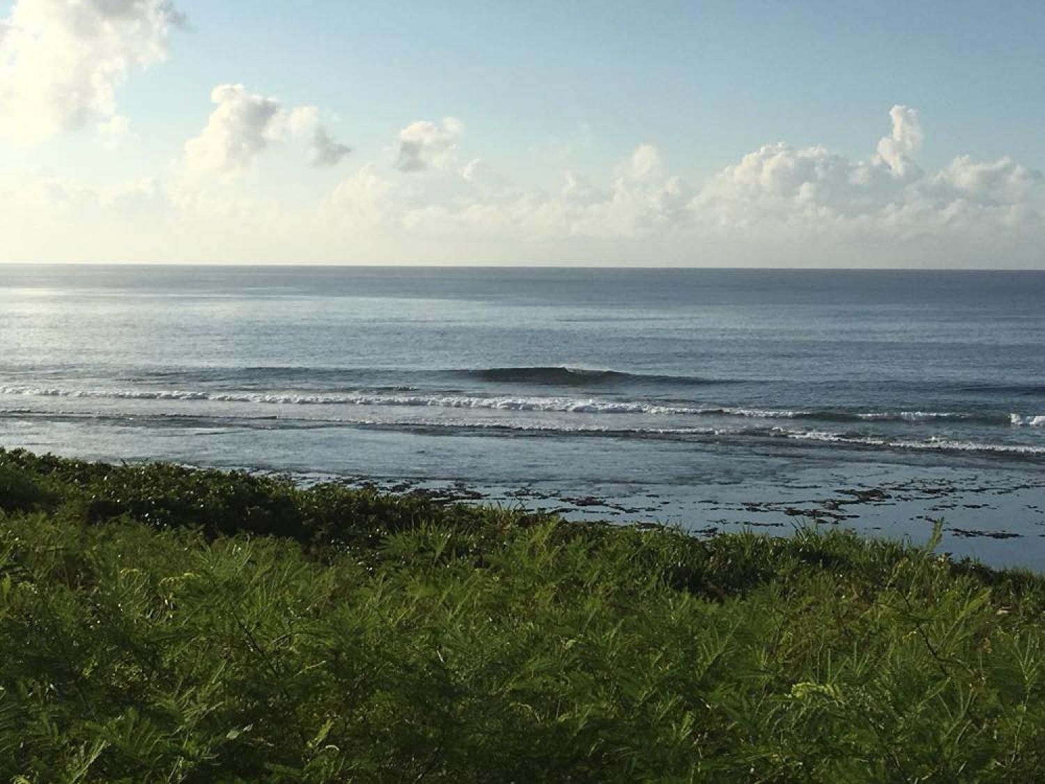 Aug 2 suicide point wave information