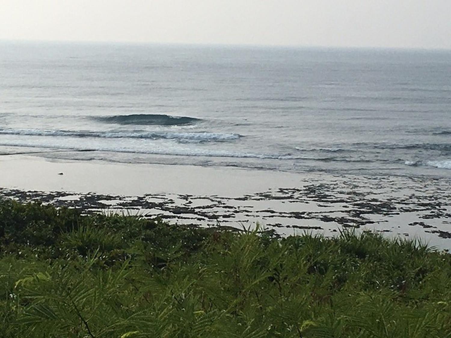 Aug 3 suicide point wave information