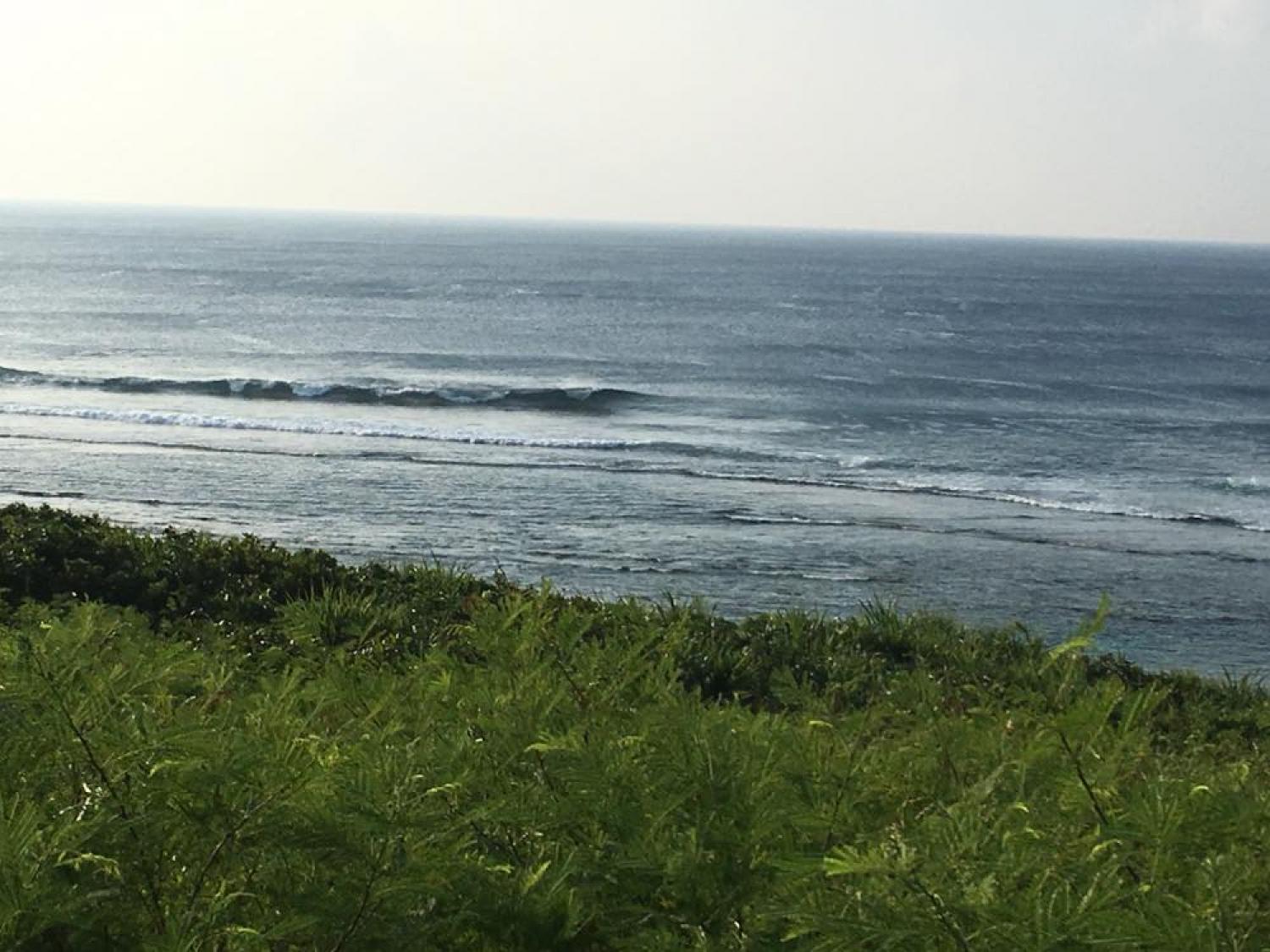 Aug 4 suicide point wave information