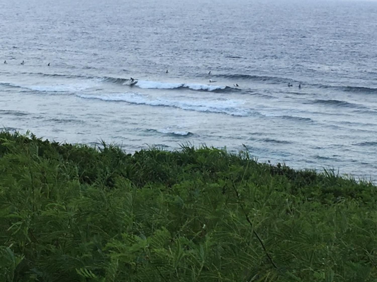 Aug 10 suicide point wave information