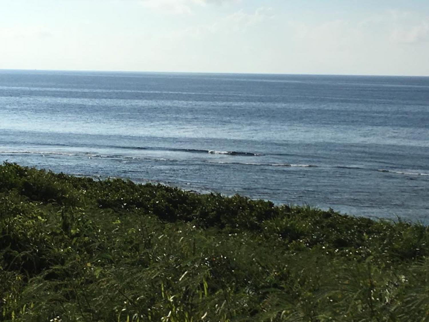 Aug 14 suicide point wave information