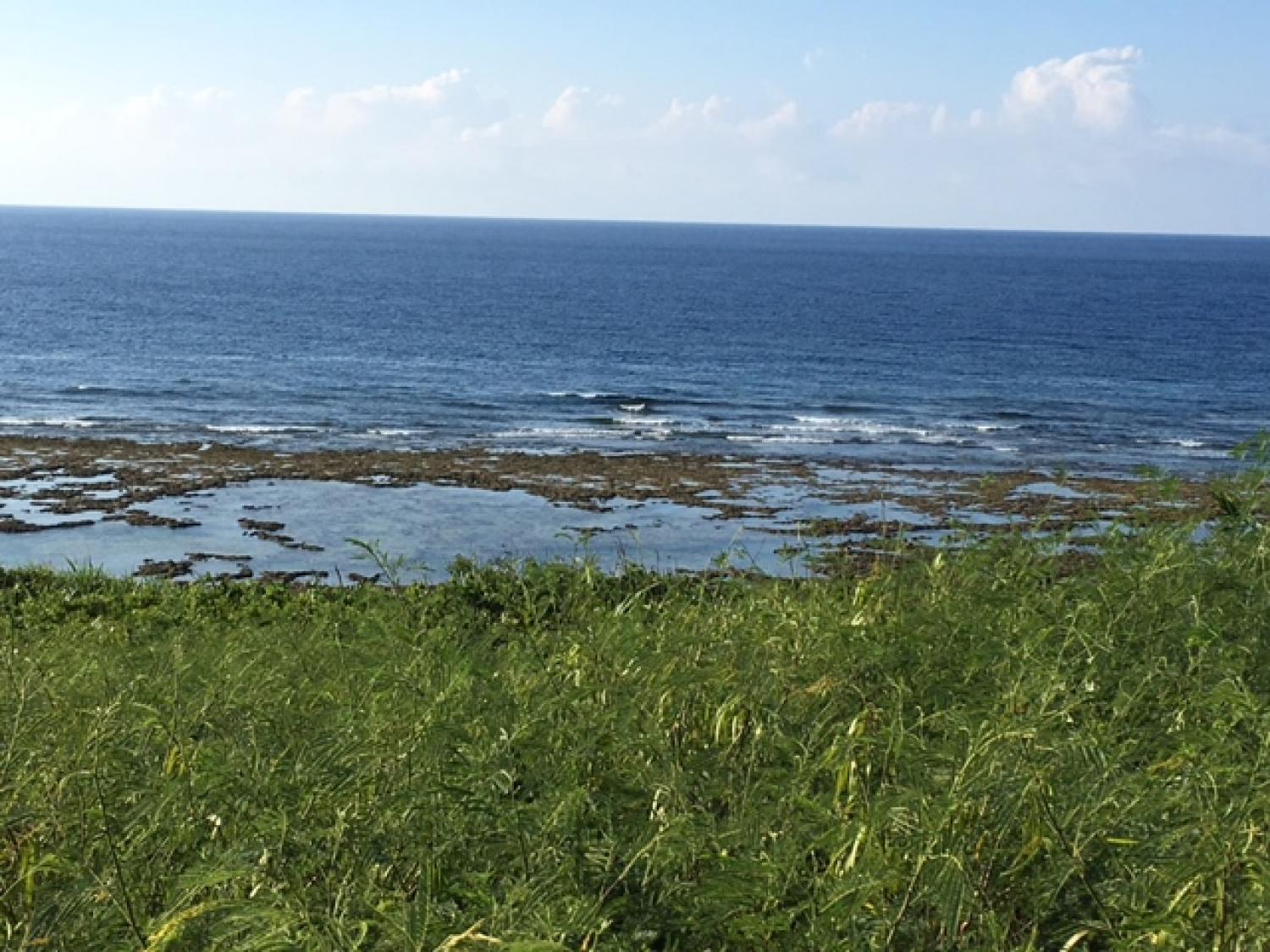 8月15日（火)  スーサイド波情報 2