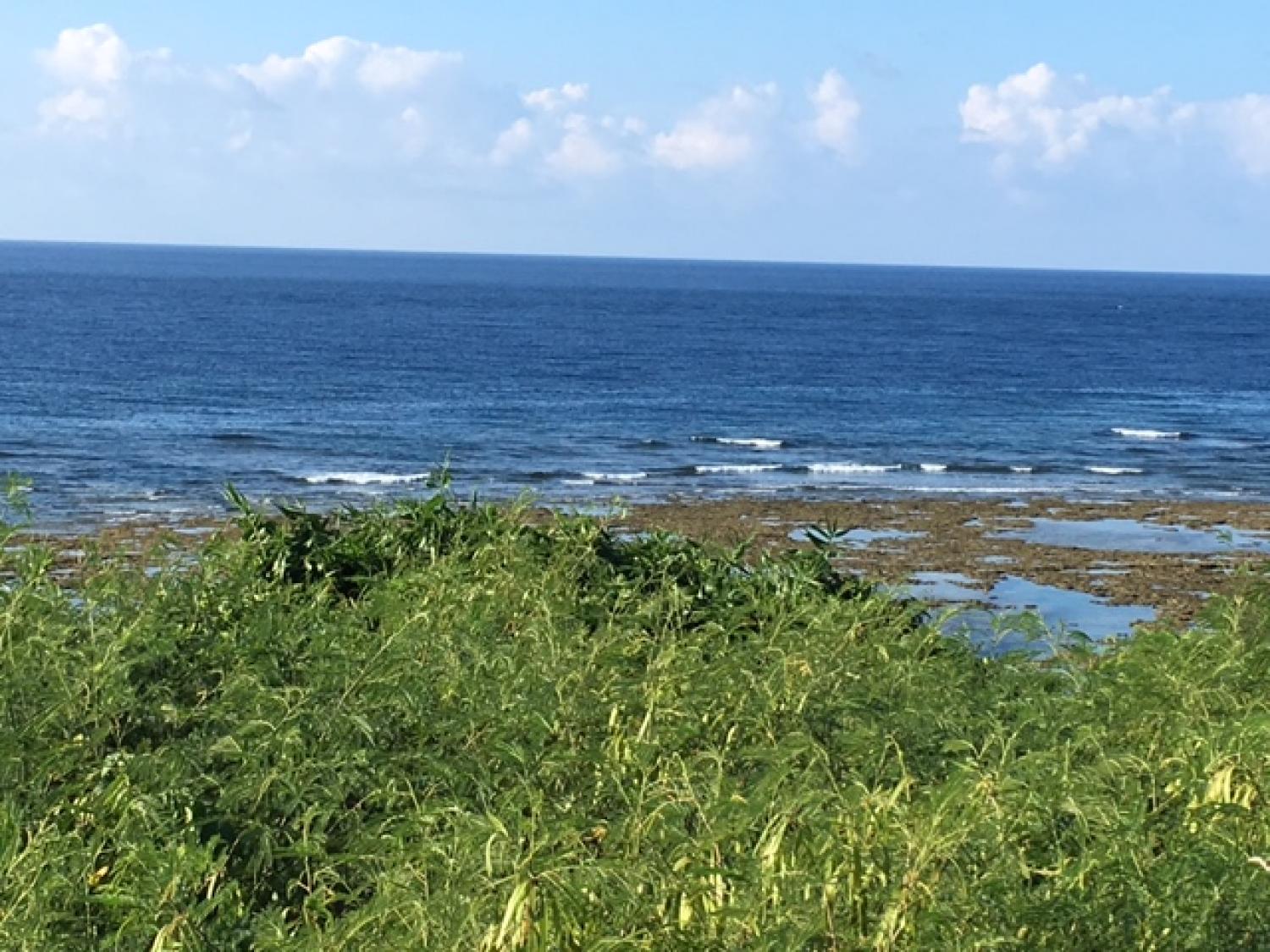 8月15日（火)  スーサイド波情報 3