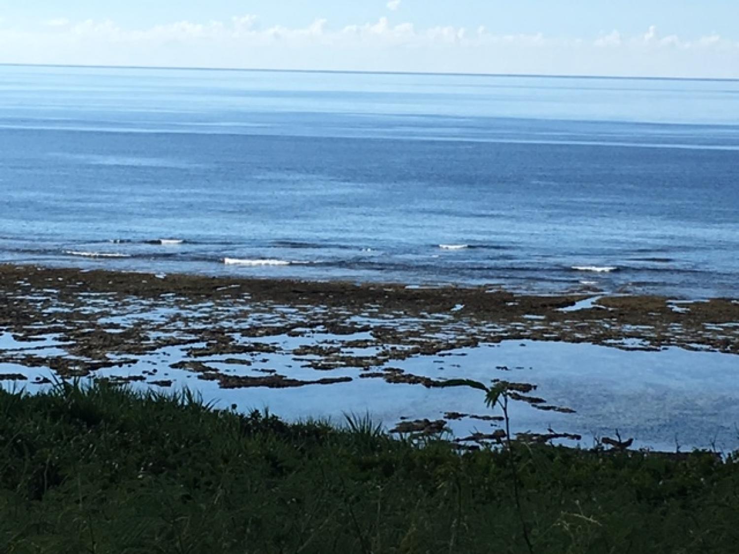 8月18日（金)  スーサイド波情報 2