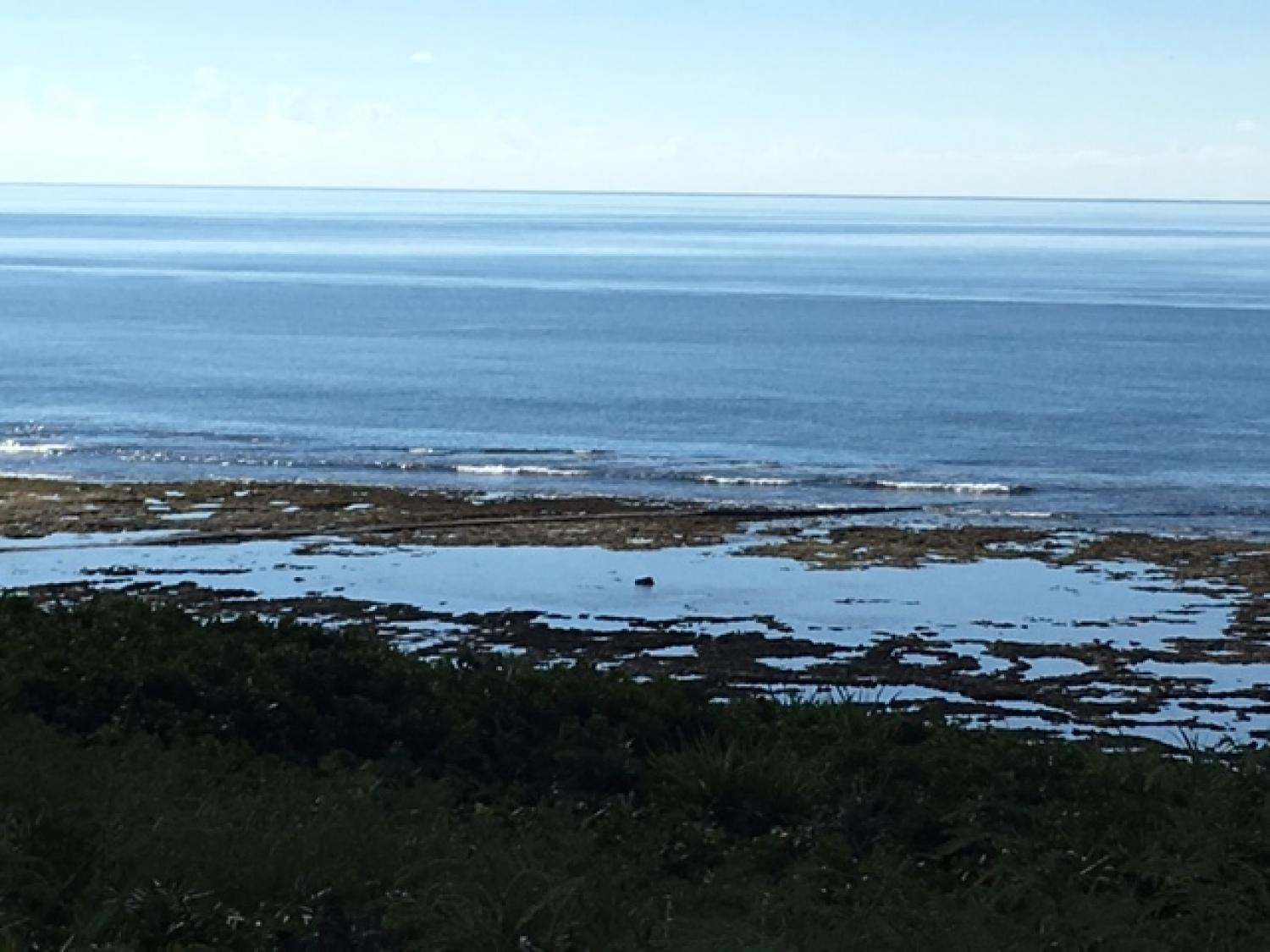 8月18日（金)  スーサイド波情報 3