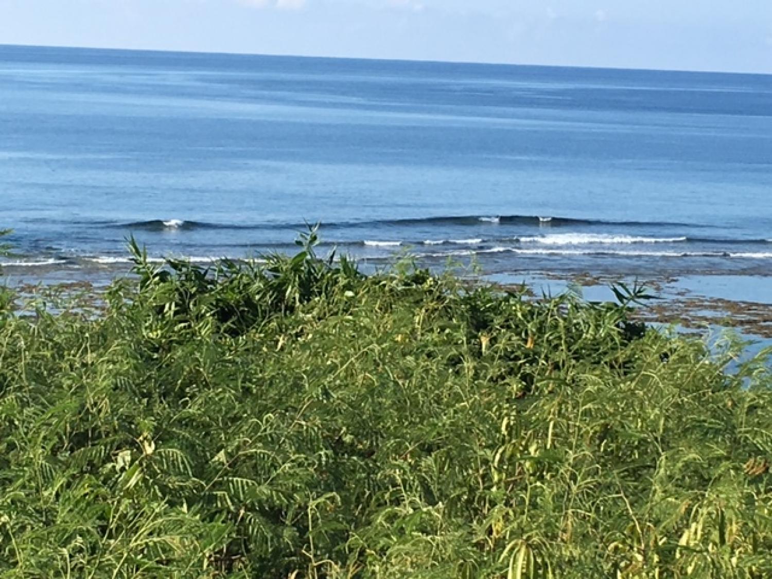 Aug 19 suicide point wave information