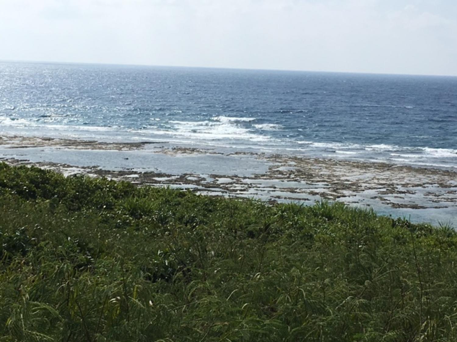 Aug 20 suicide point wave informaton