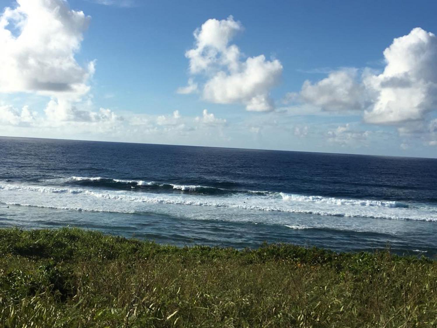 Aug 24 suicide point wave information