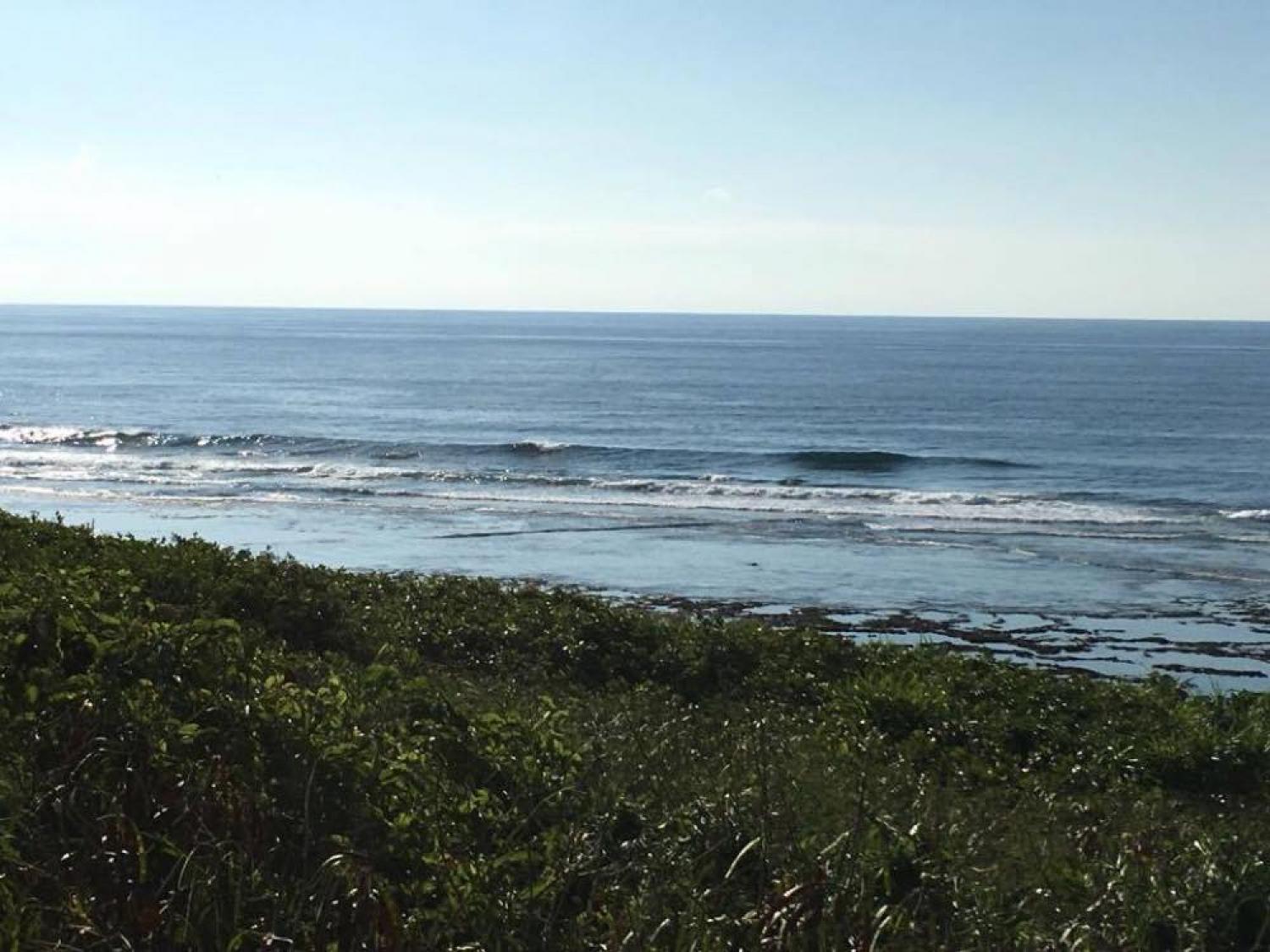 Aug 31 suicide point wave information