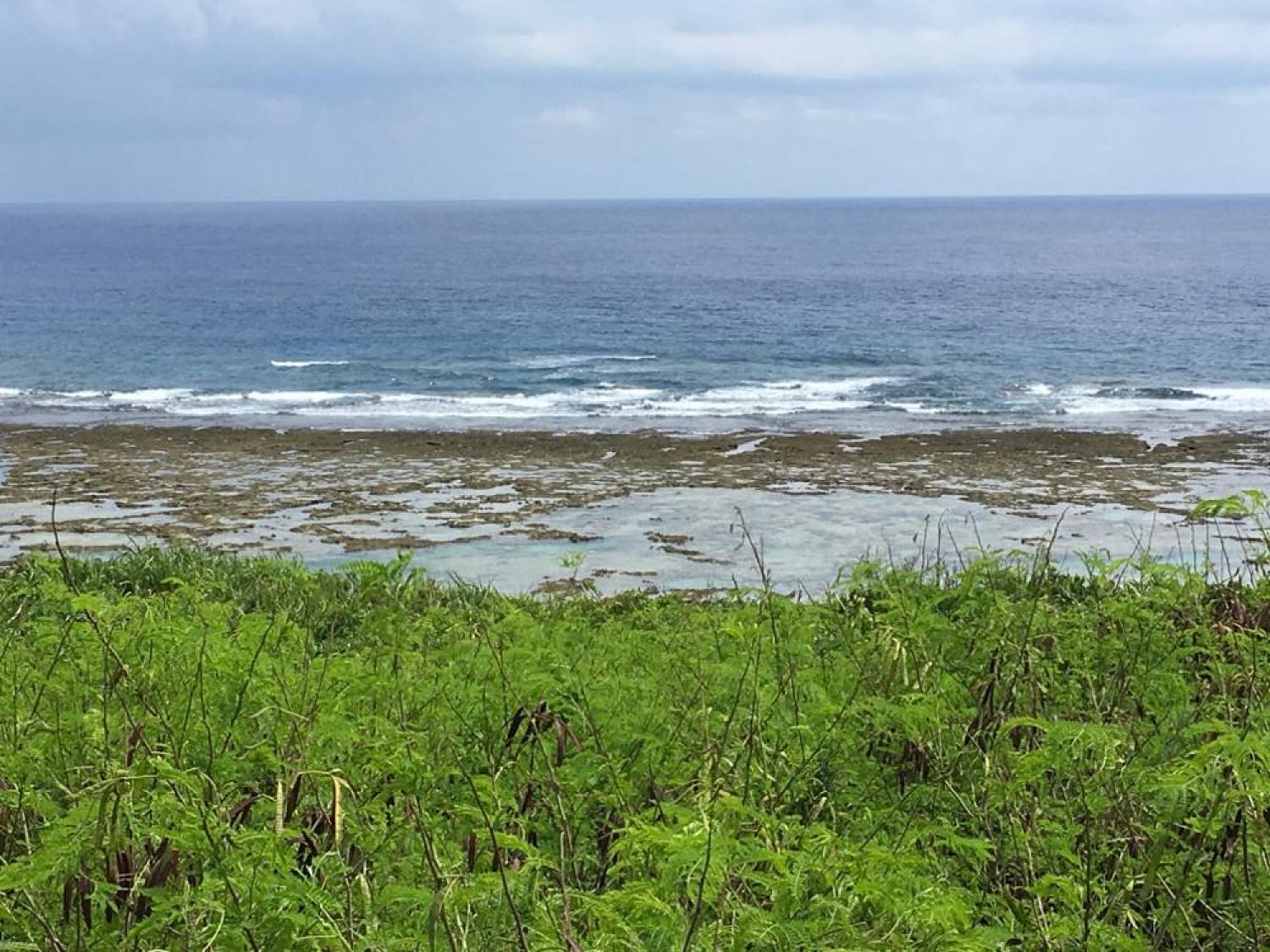 Sep 8 suicide point wave information