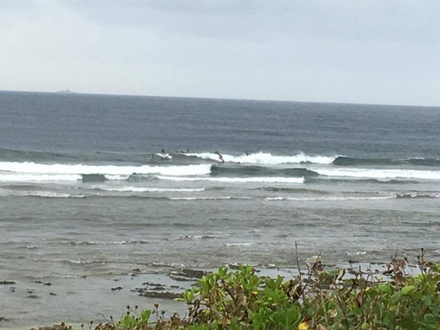 9月17日（日） スーサイド波情報 2