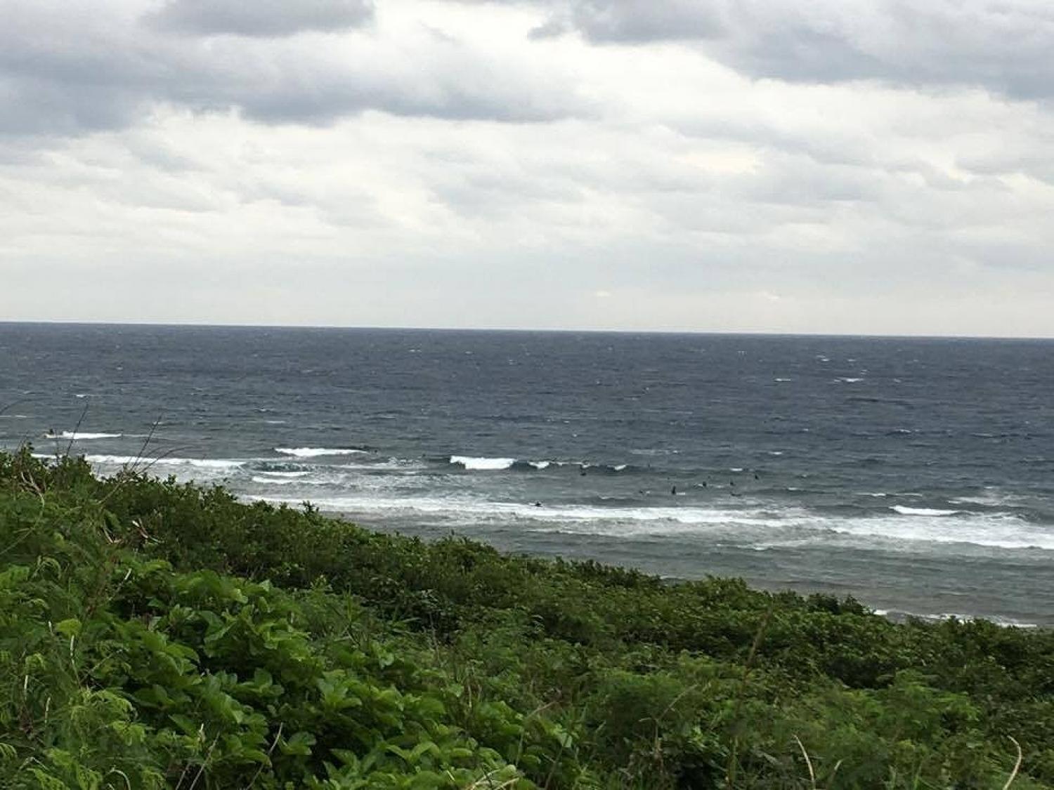 Nov 21 suicide point wave information