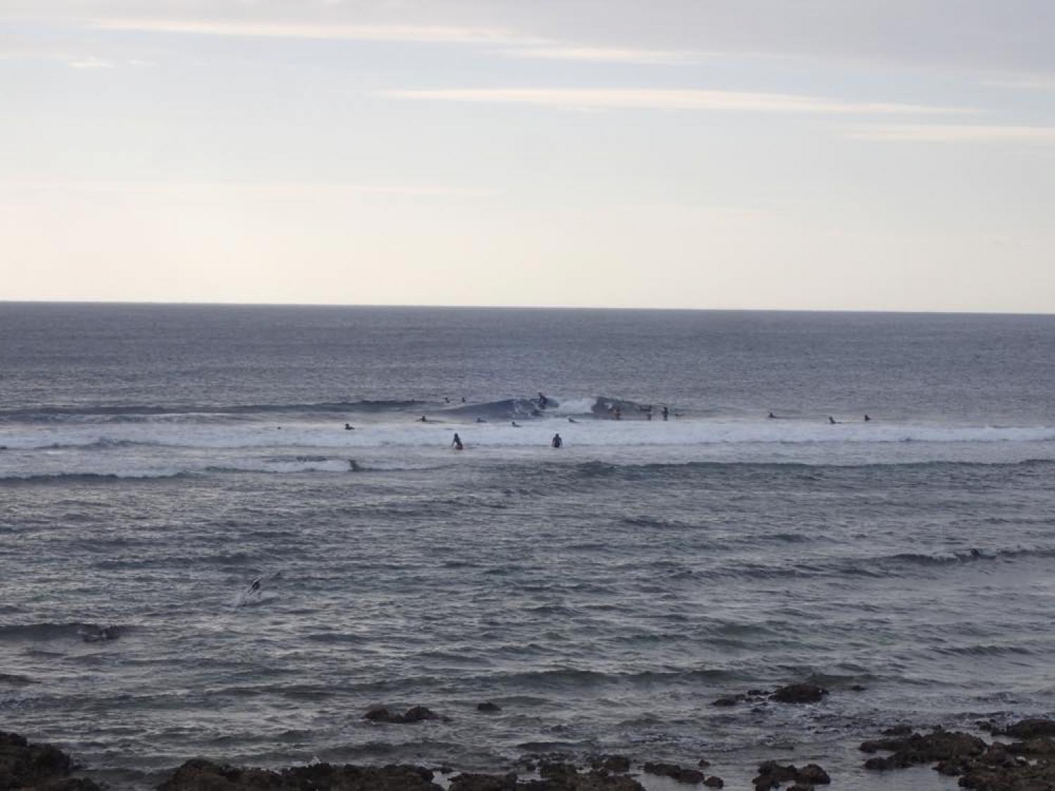 Nov 22 suicide point wave information