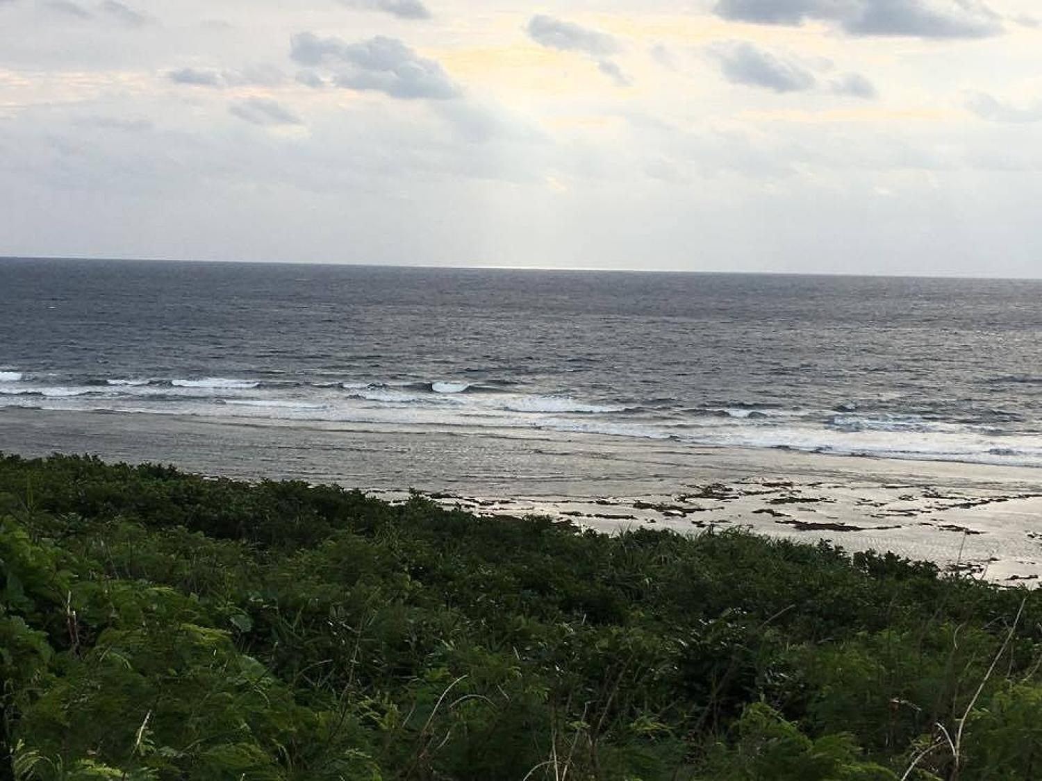 Nov 25 suicide point wave information