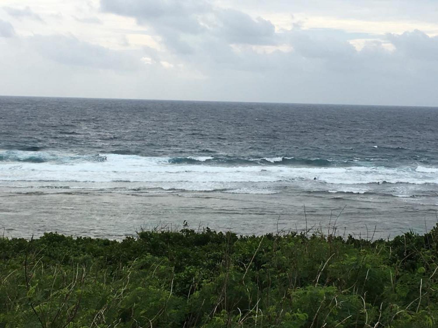 Nov 26 suicide point wave information