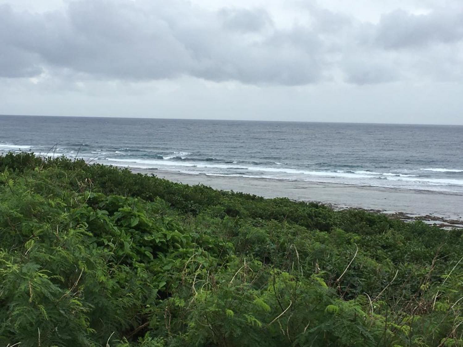 Nov 27 suicide point wave information 2