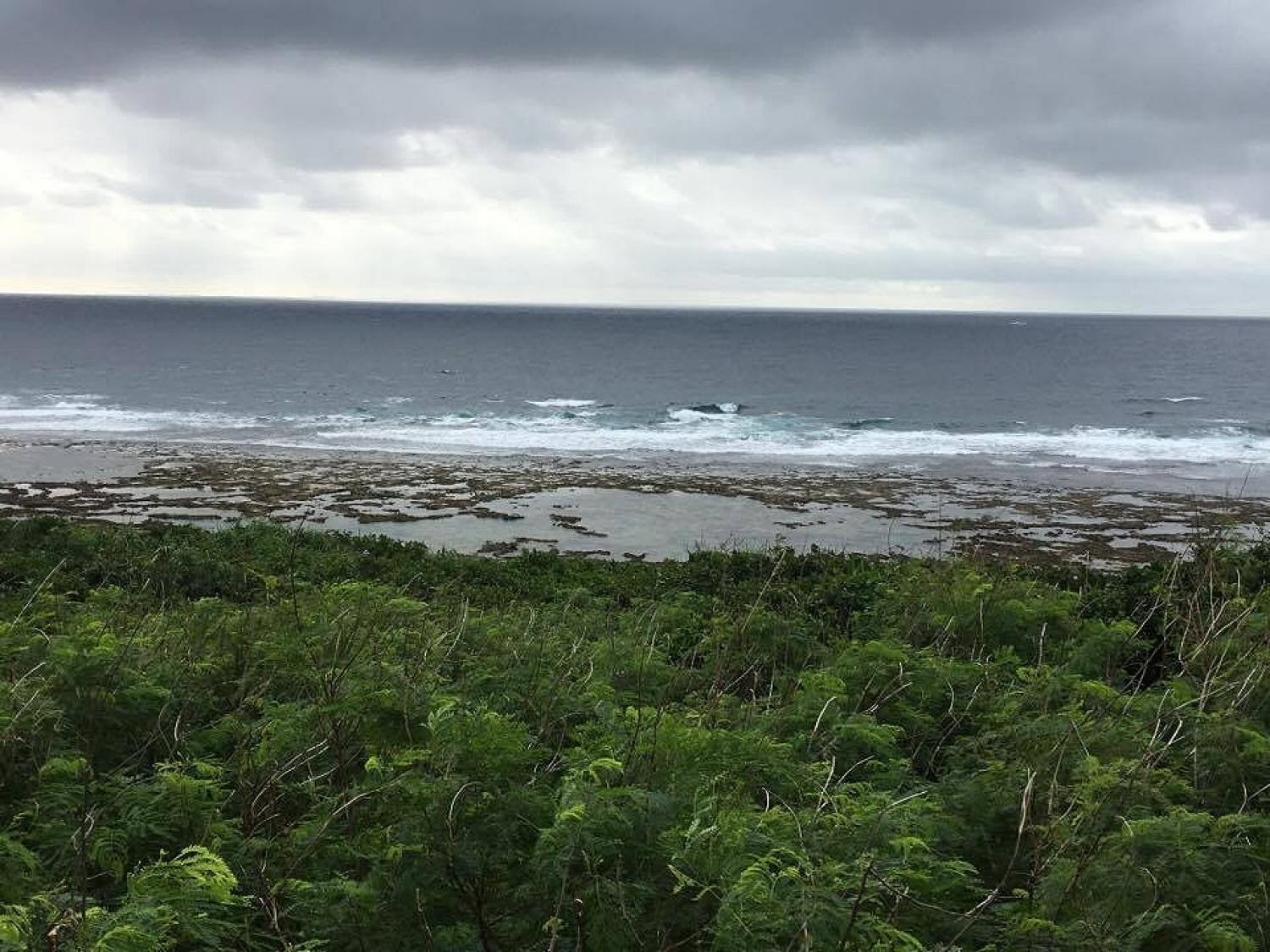 Nov 28 suicide point wave information