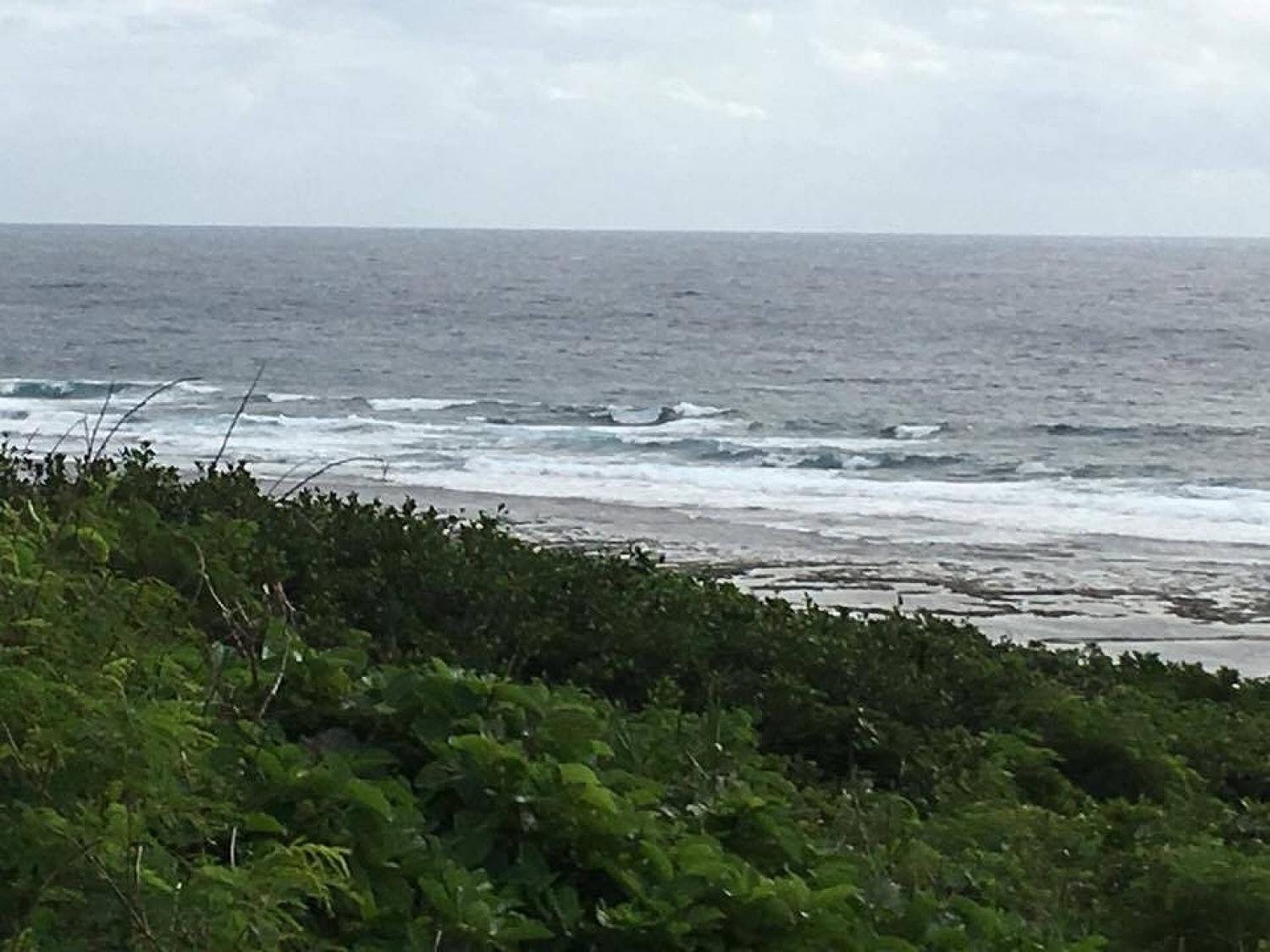 Nov 30 suicide point wave information