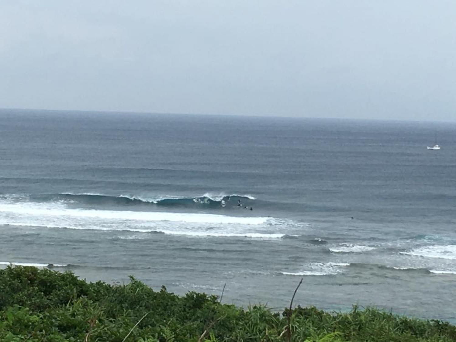 Dec 4 suicide point wave information