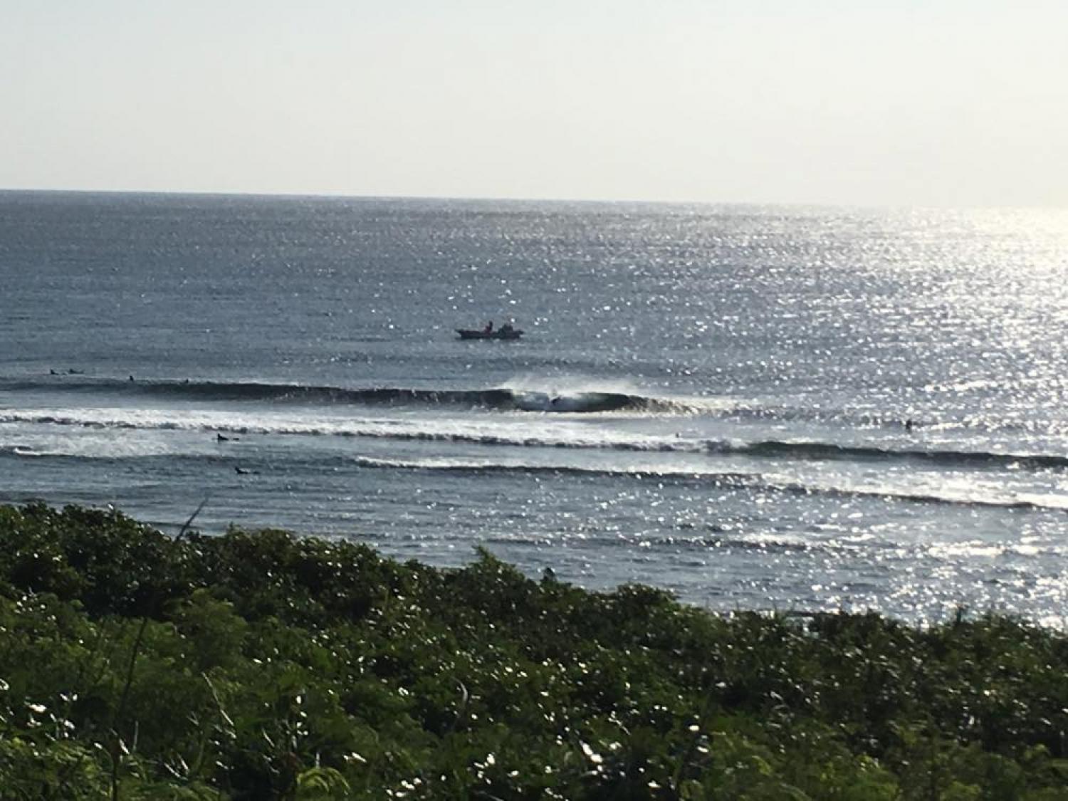 Dec 5 suicide point wave information