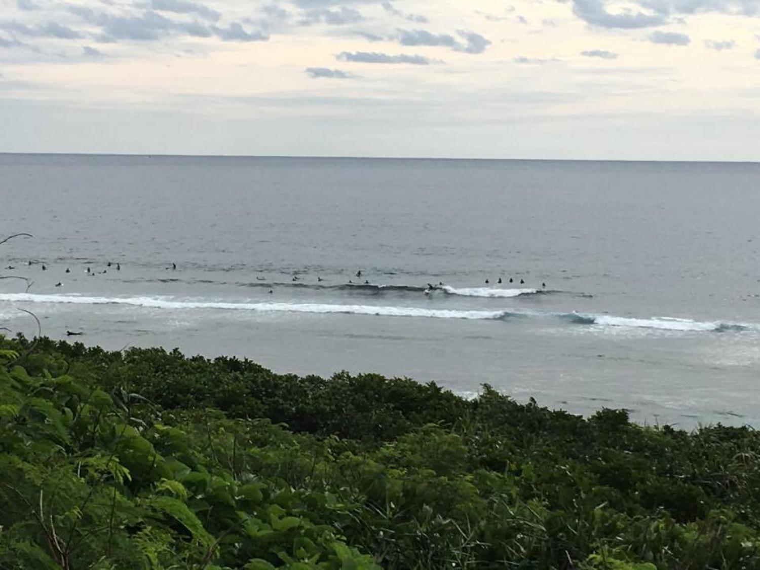 Dec 7 suicide point wave information