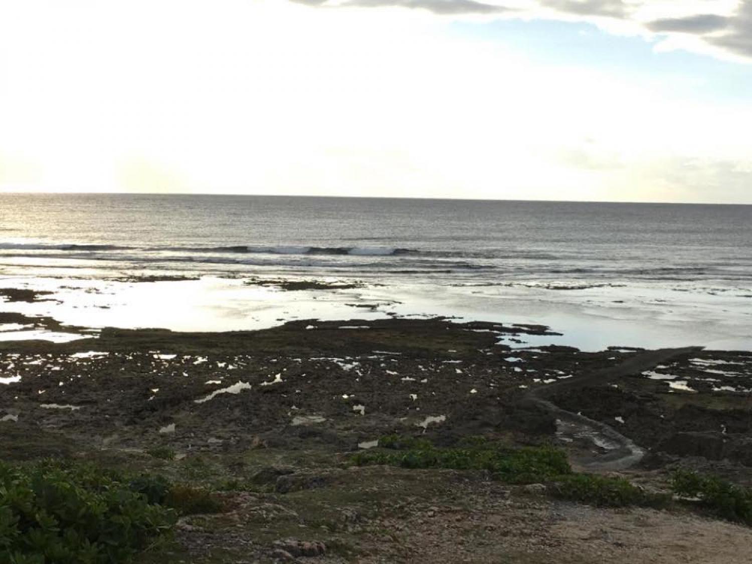 Dec 9 suicide point wave information
