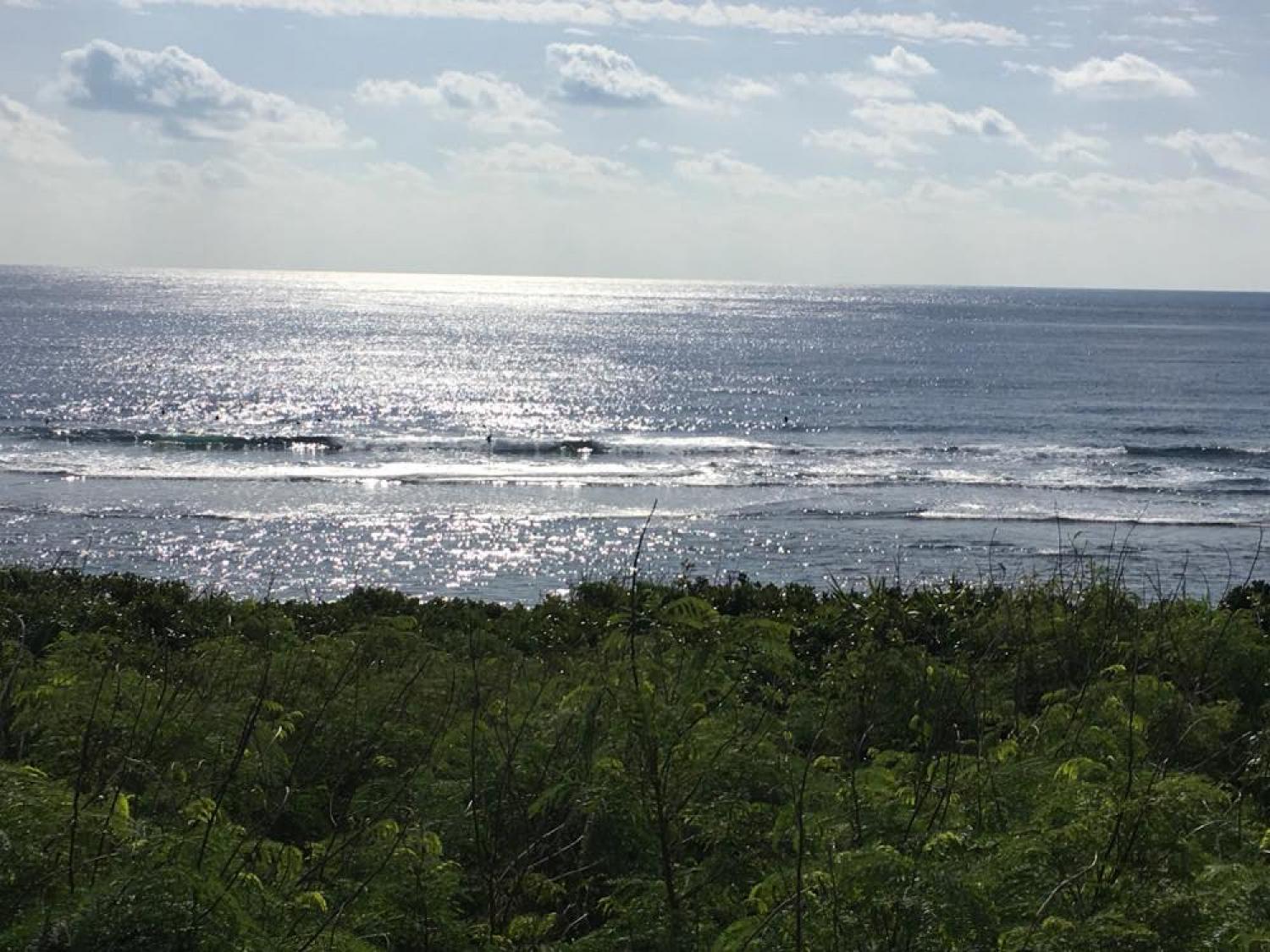 Dec 10 suicide point wave information
