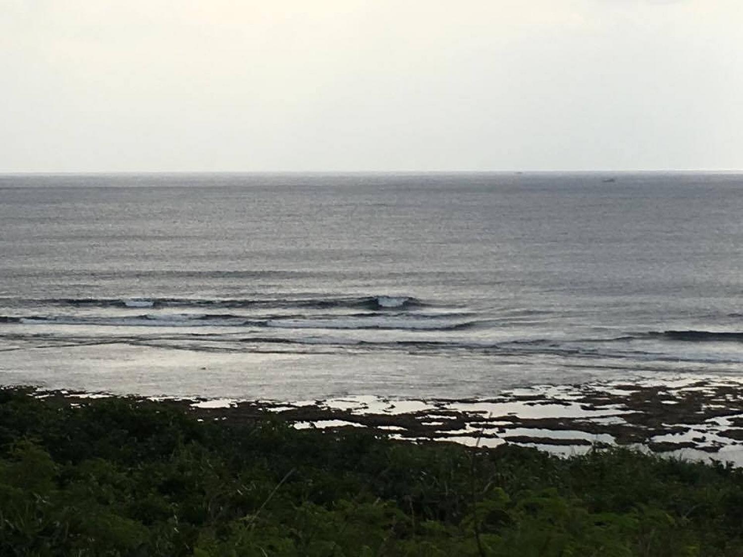 Dec 11 suicide point wave information