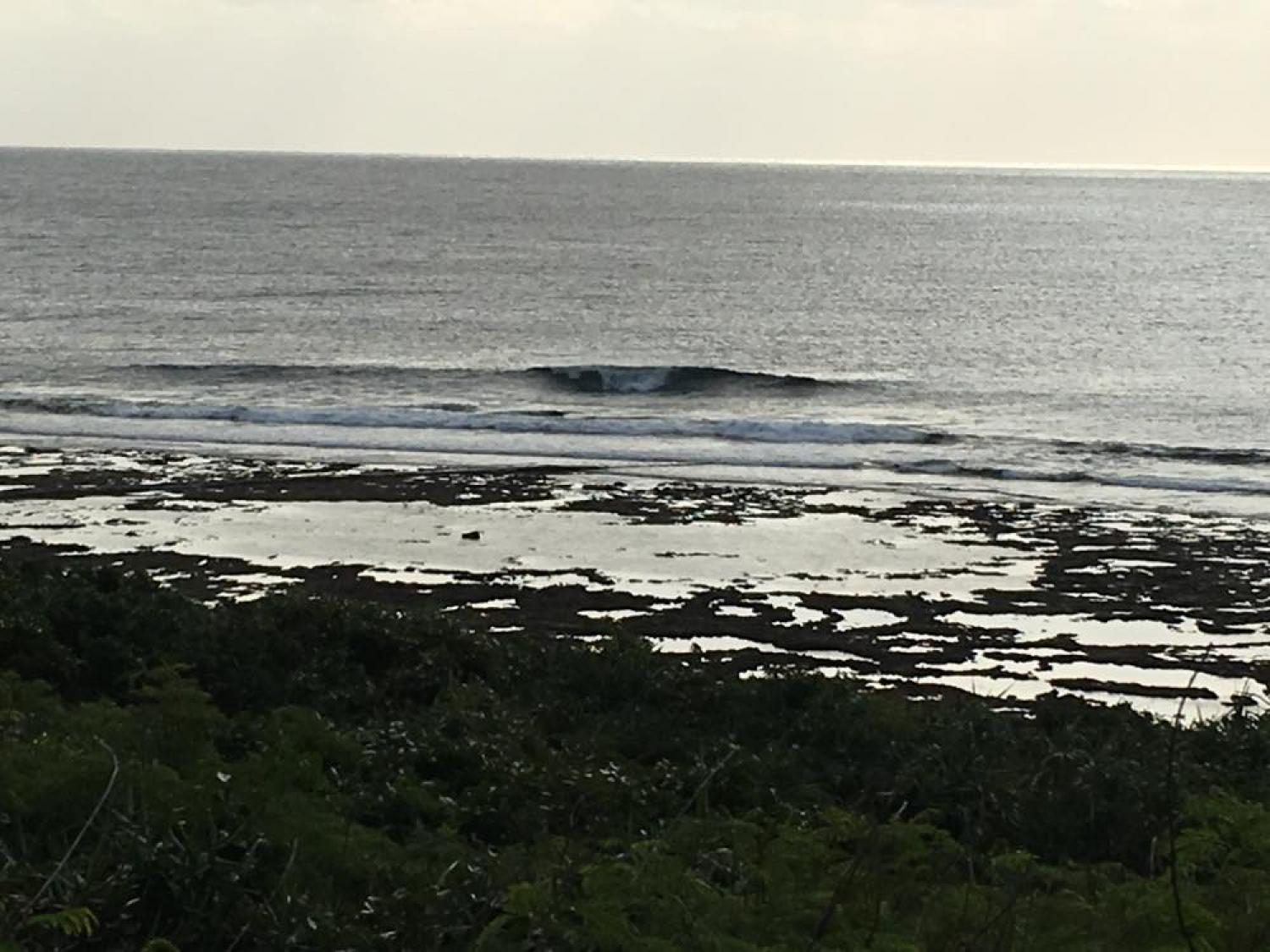 Dec 12 suicide point wave information