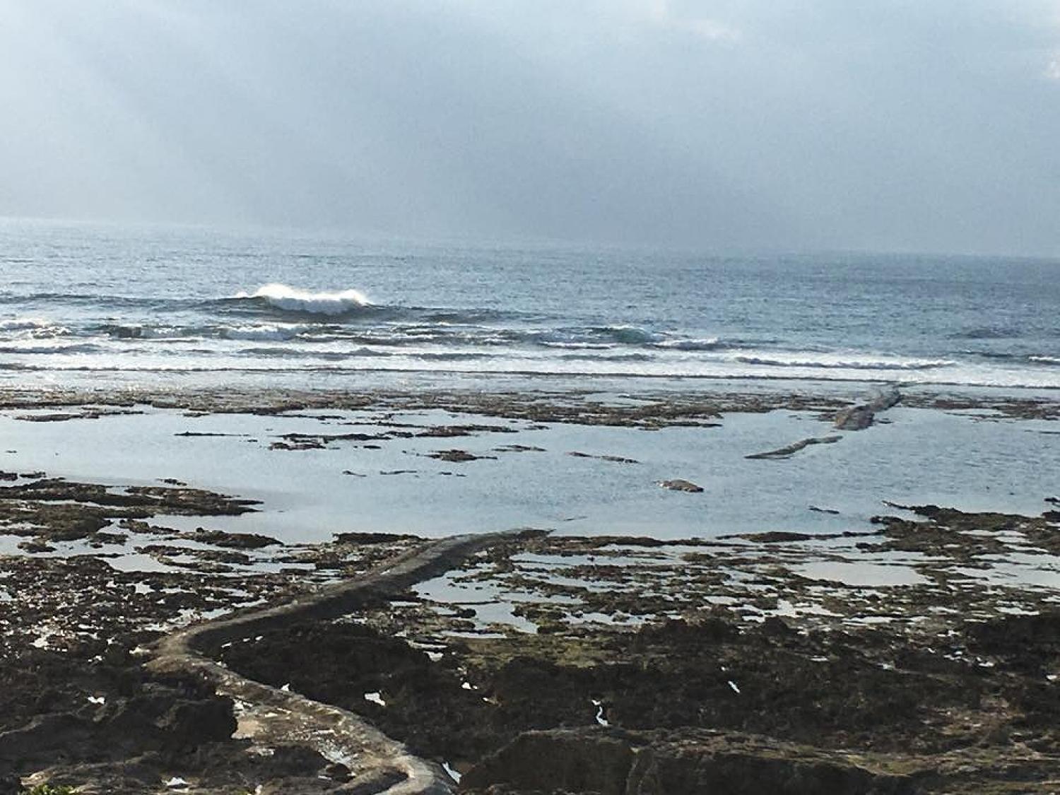 Dec 14 suicide point wave information