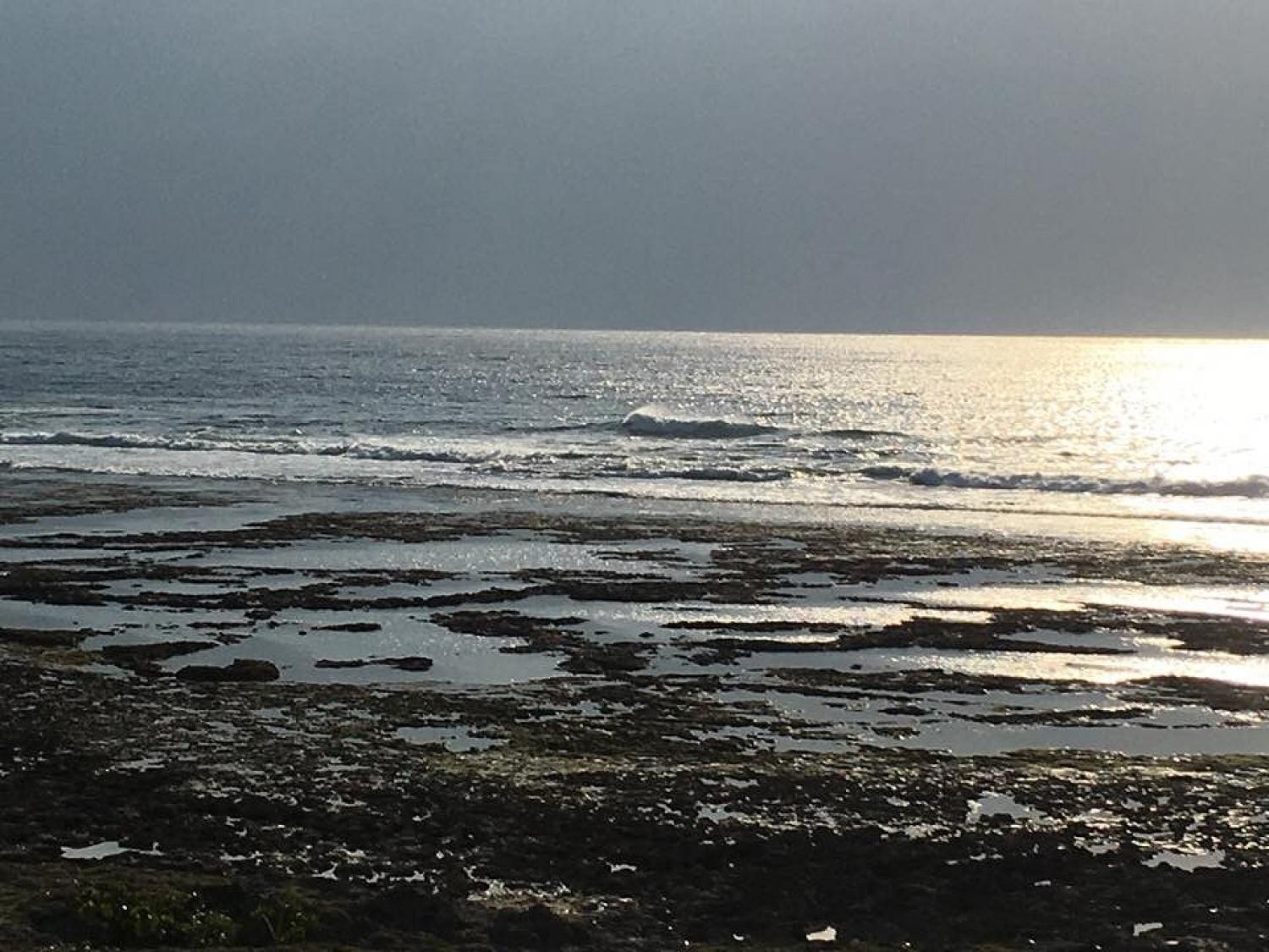 12月14日（木） スーサイド波情報 2