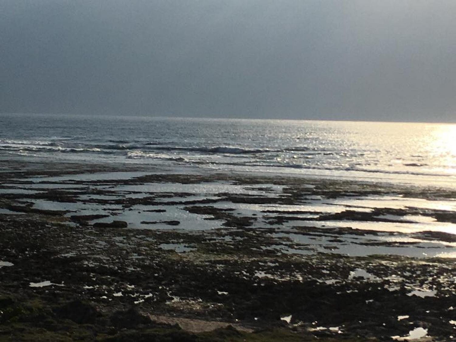 12月14日（木） スーサイド波情報 3