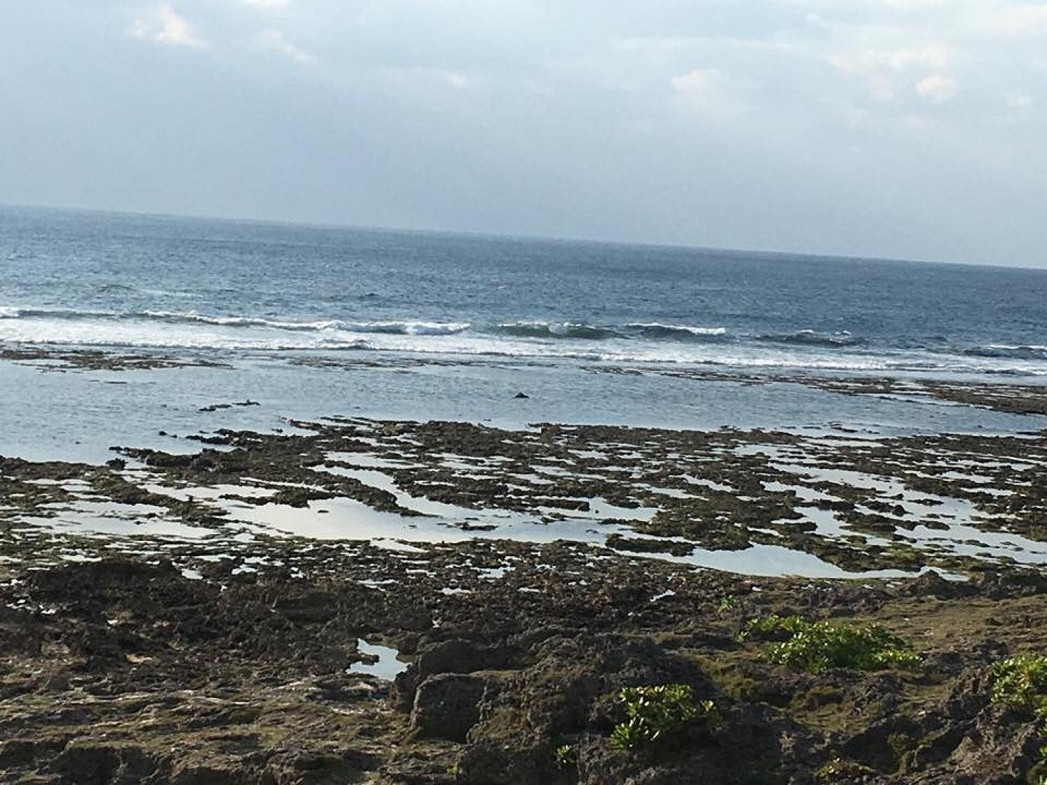 12月14日（木） スーサイド波情報 4