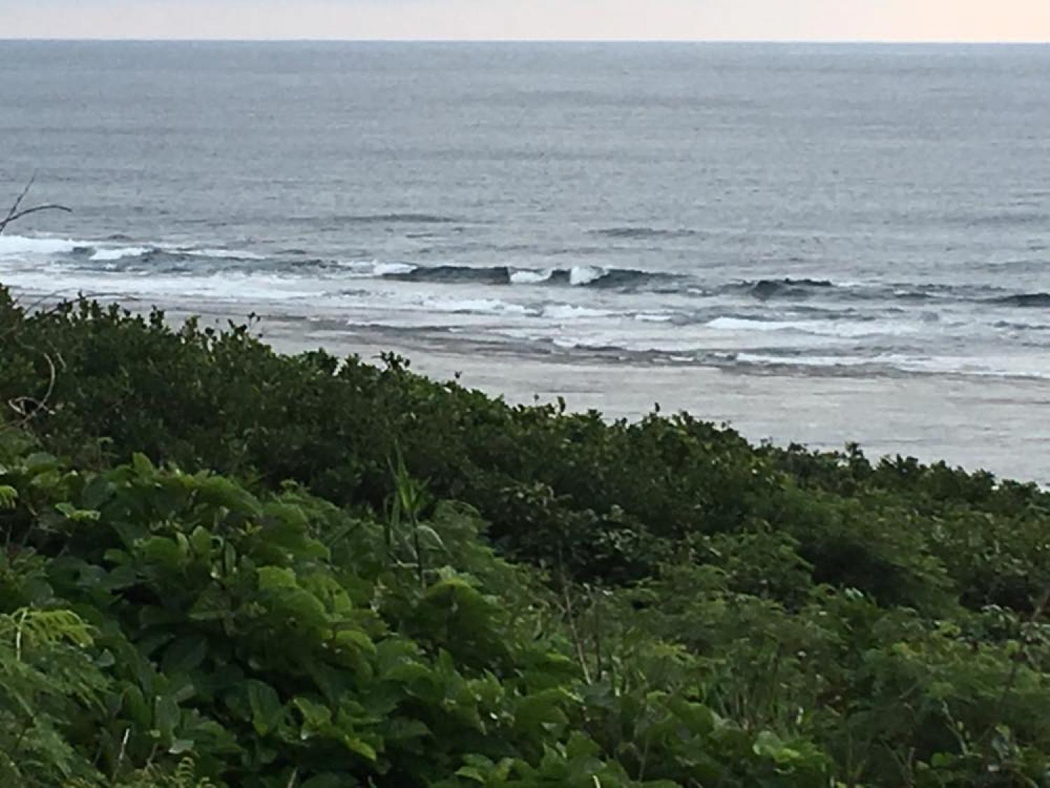 Dec 15 suicide point wave information