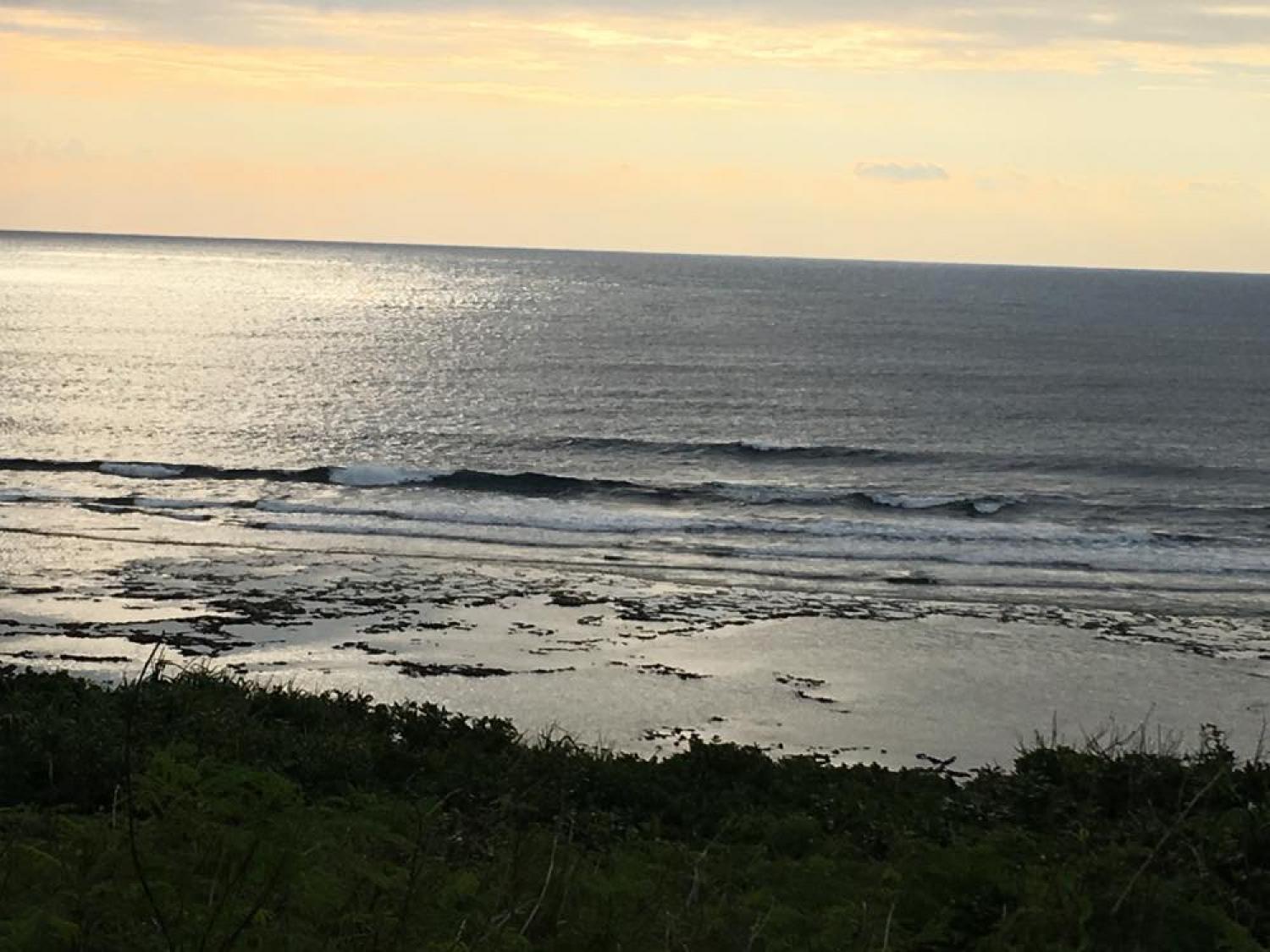 12月15日（金） スーサイド波情報 2