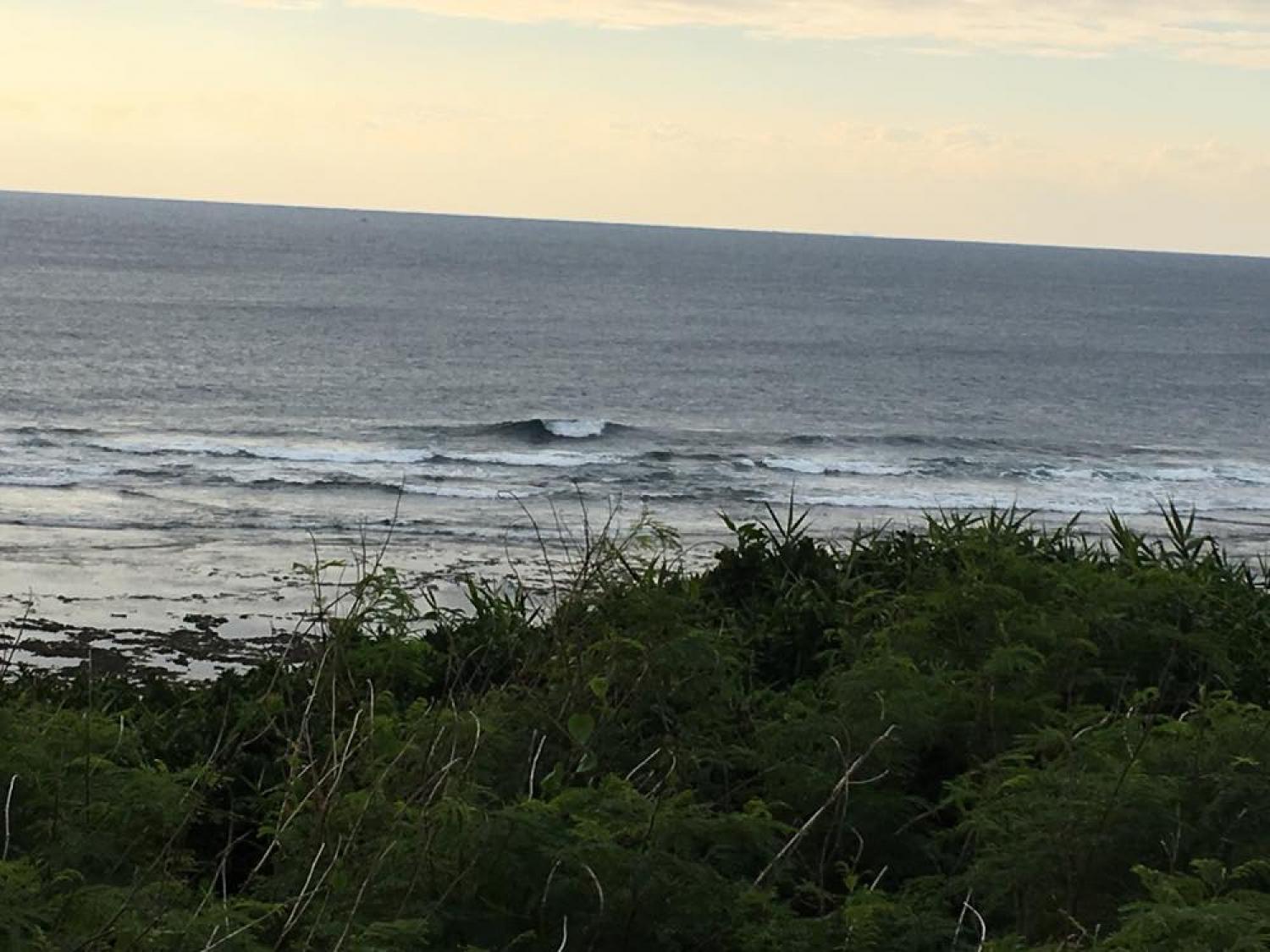 12月15日（金） スーサイド波情報 3