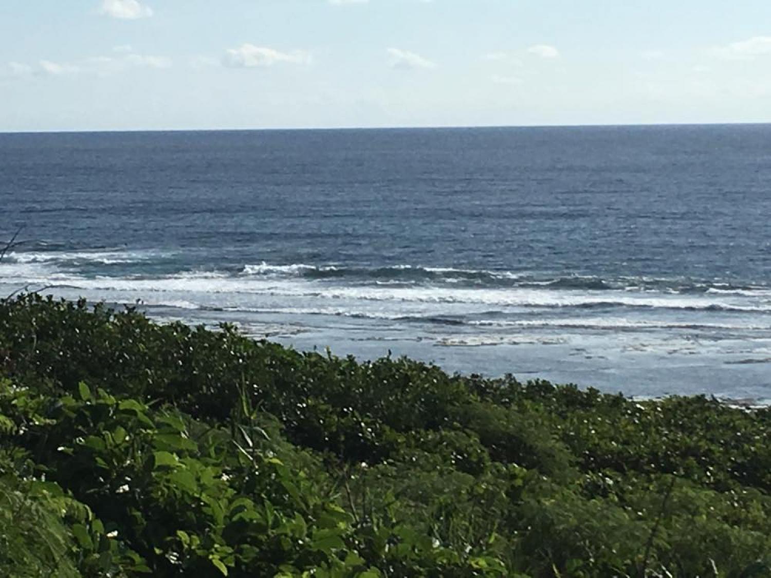 Dec 16 suicide point wave information