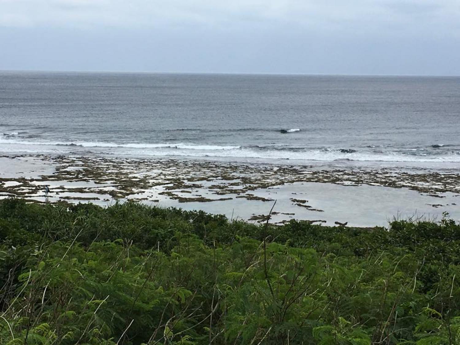 Dec 17 suicide point wave information