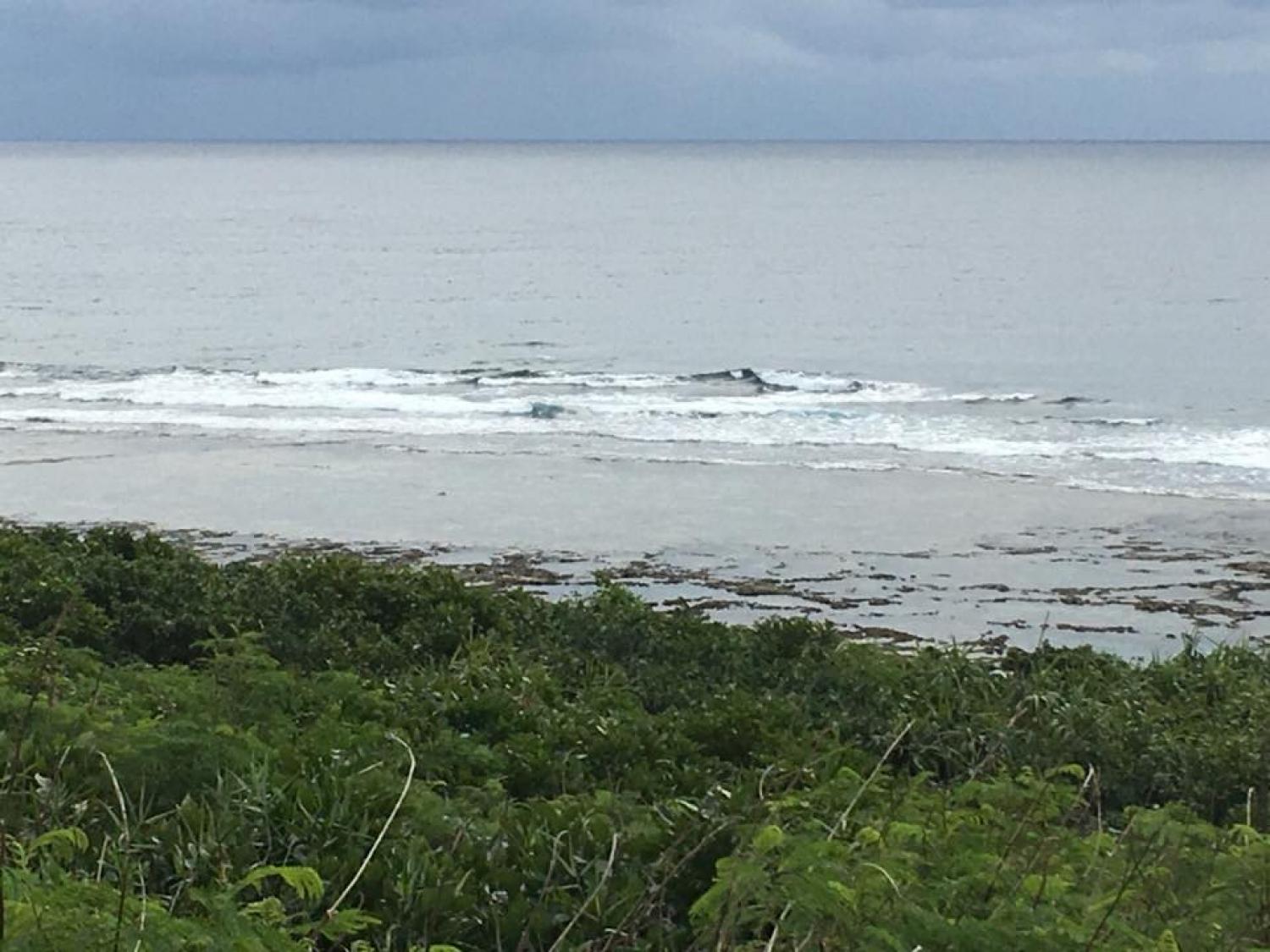Dec 18 suicide point wave information