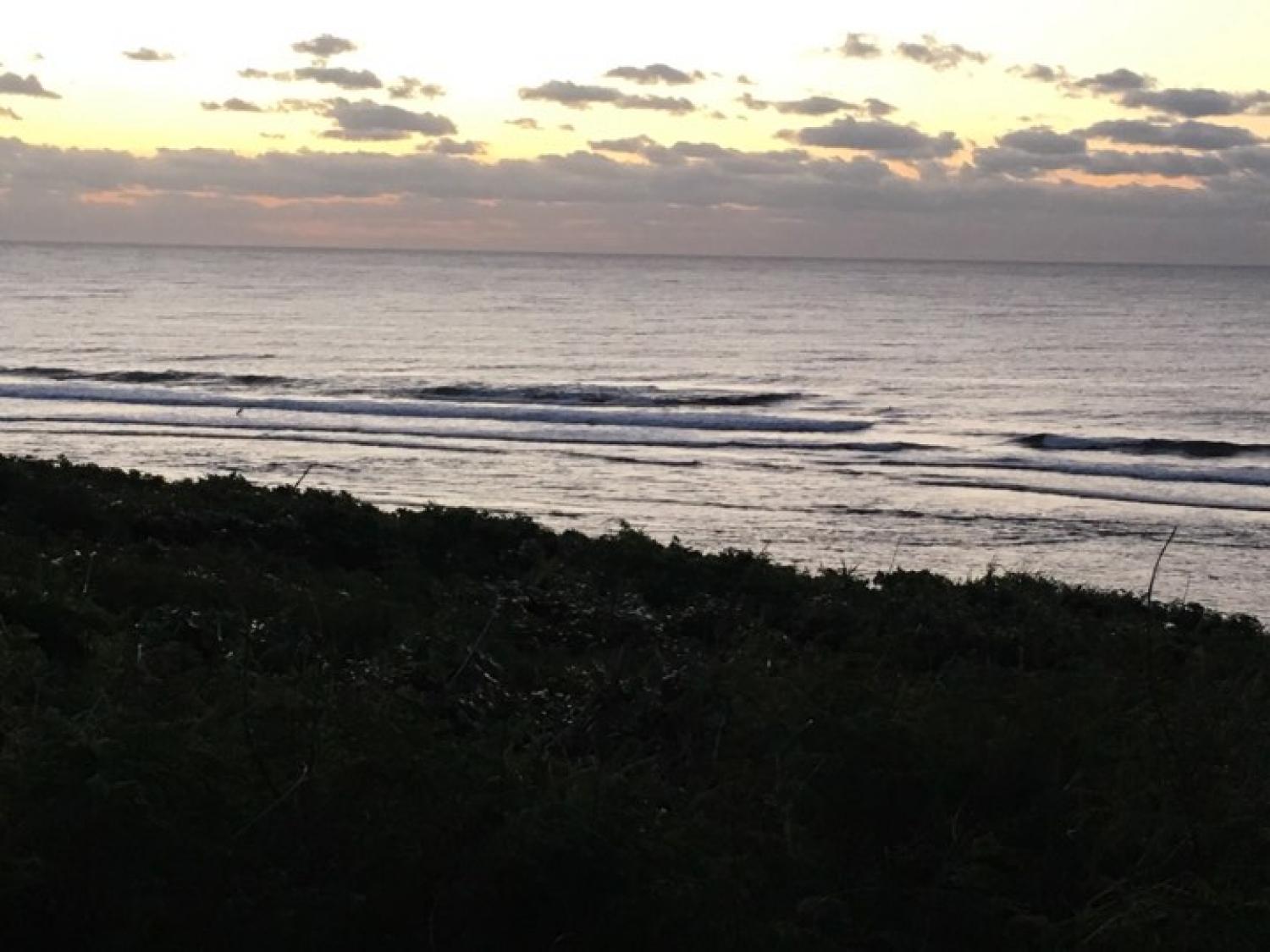 Dec 21 suicide point wave forcast