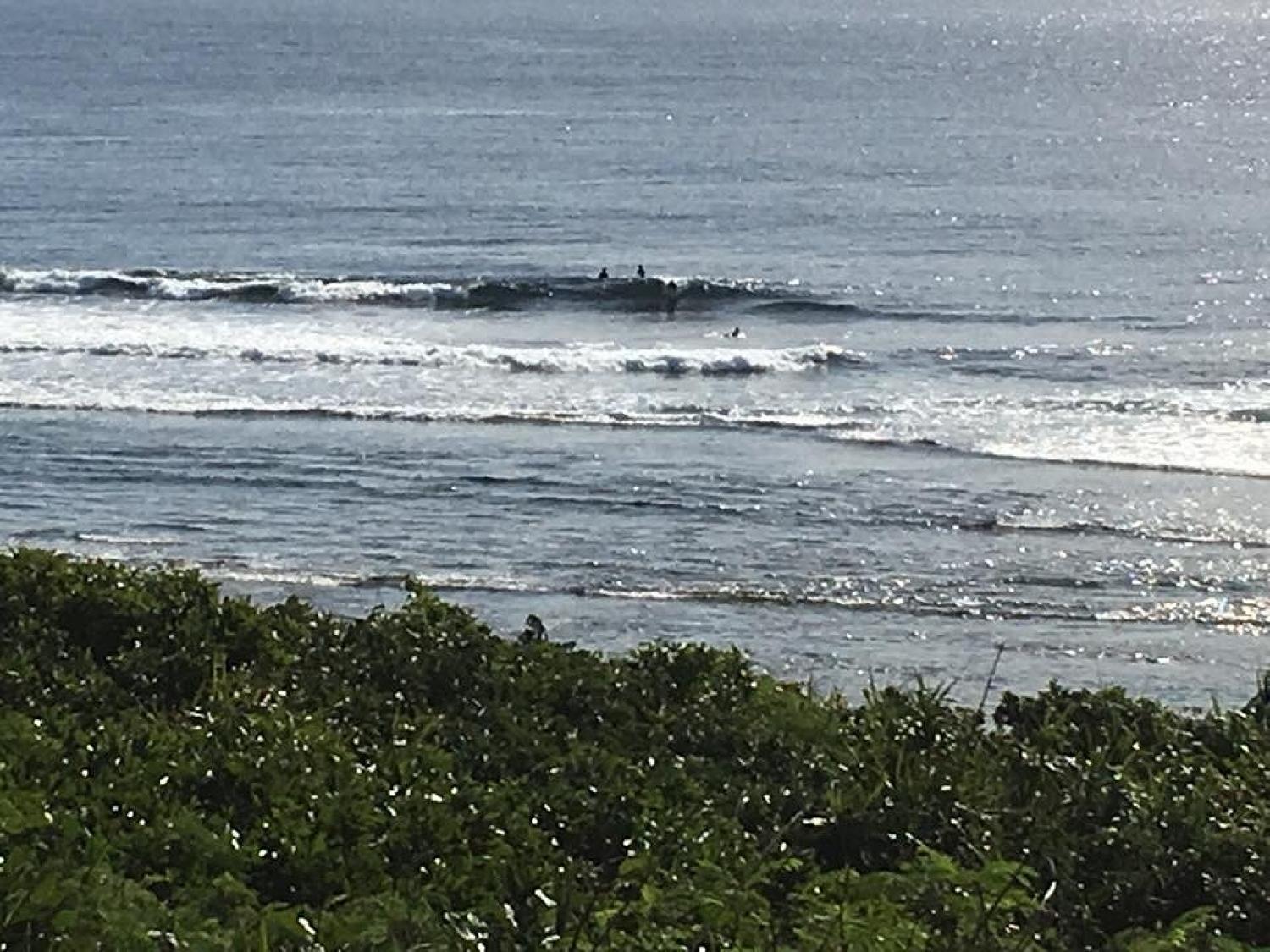 Dec 26 suicide point wave information