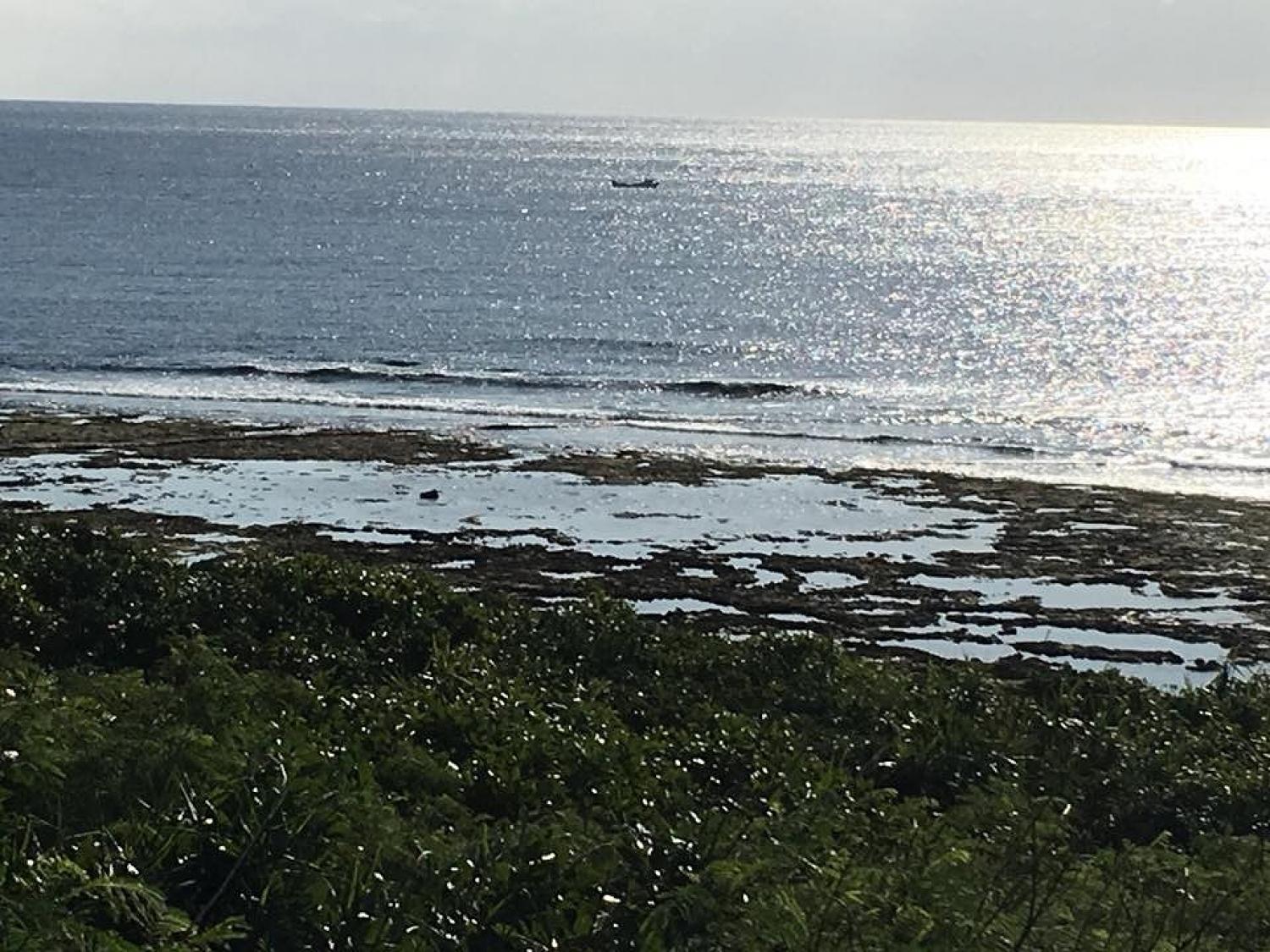 Dec 28 suicide point wave information