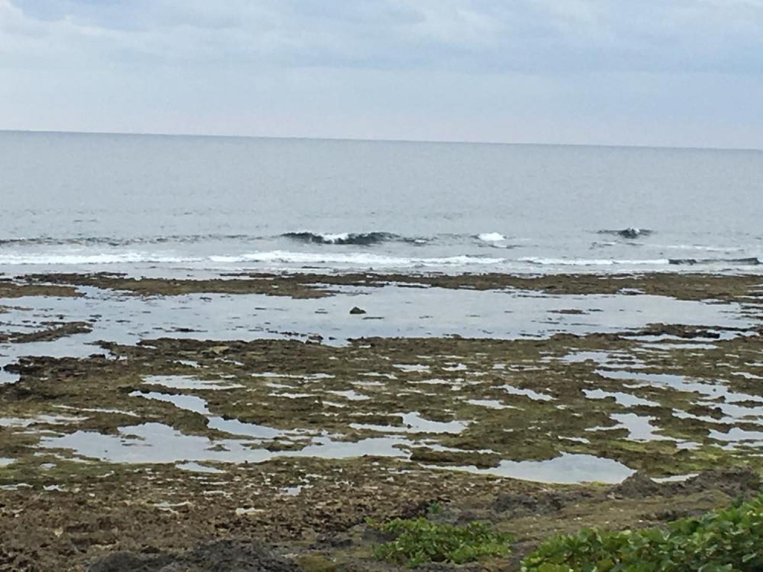 Dec 29 suicide point wave information