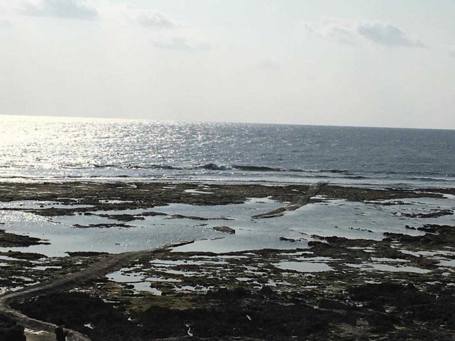 Dec 30 suicide point wave information