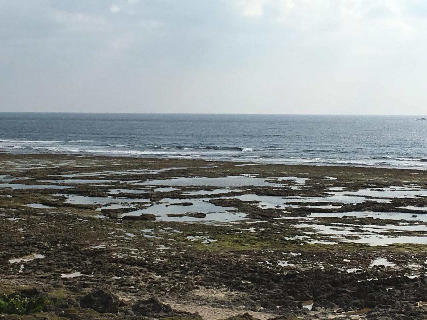 Dec 30 suicide point wave information 2