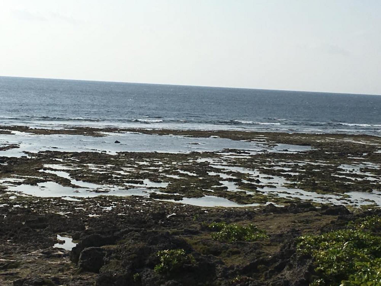 Dec 30 suicide point wave information 3