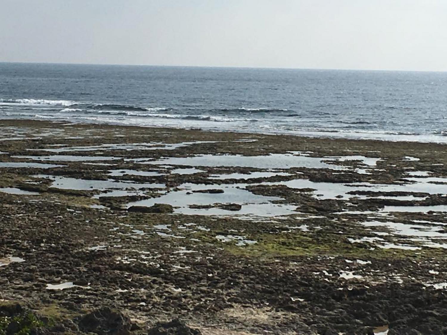 Dec 30 suicide point wave information 4